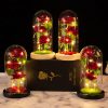 LED Galaxy Three Rose Glass Dome Ornament
