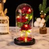 LED Galaxy Three Rose Glass Dome Ornament