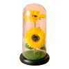 Led Glass Rose Tulip Ornament