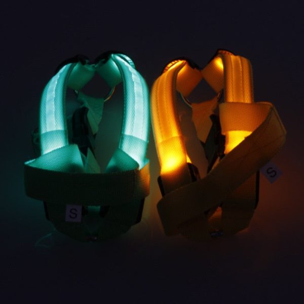 Led Glowing Dog Harness