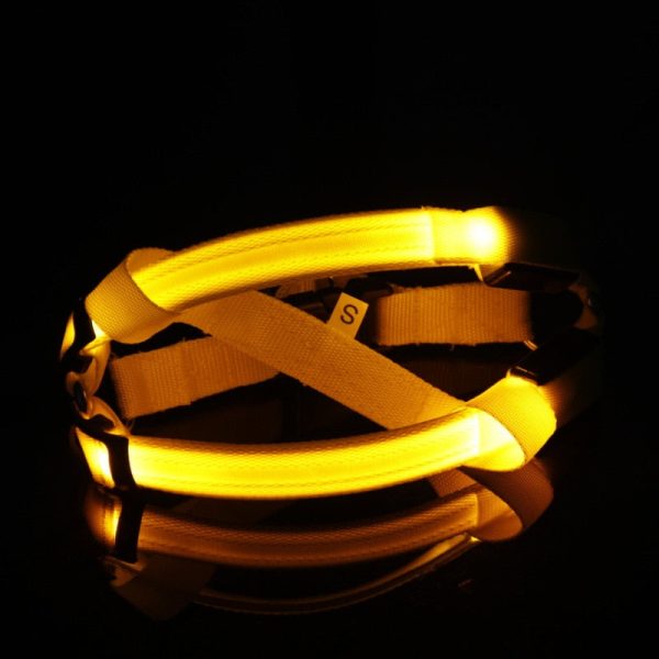 Led Glowing Dog Harness