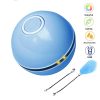 LED Laser Rolling Ball Interactive Electronic Cat Toy