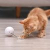 LED Laser Rolling Ball Interactive Electronic Cat Toy