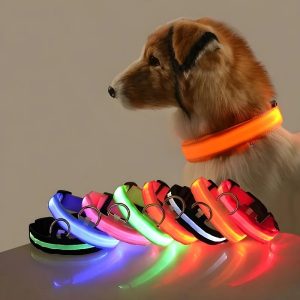 LED Nylon Dog Collar Night Safety Flashing Glow Luminous