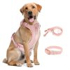 Light Pink Double Dog Leash Set - Adjustable PVC Harness