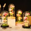 Light Up Rose Glass Dome Ornament
