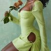 Long Sleeve Mesh Tie Up Hollow Drawstring Mini Dress