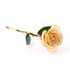 Long Stem 24K Gold Dipped Rose Handmade Forever Gift