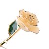 Long Stem 24K Gold Dipped Rose Handmade Forever Gift