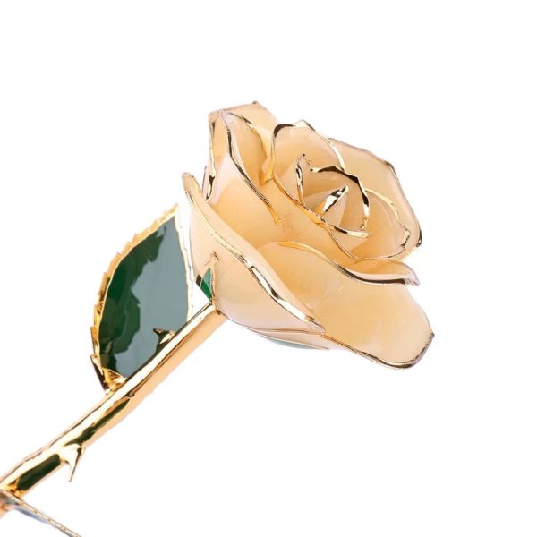 Long Stem 24K Gold Dipped Rose Handmade Forever Gift