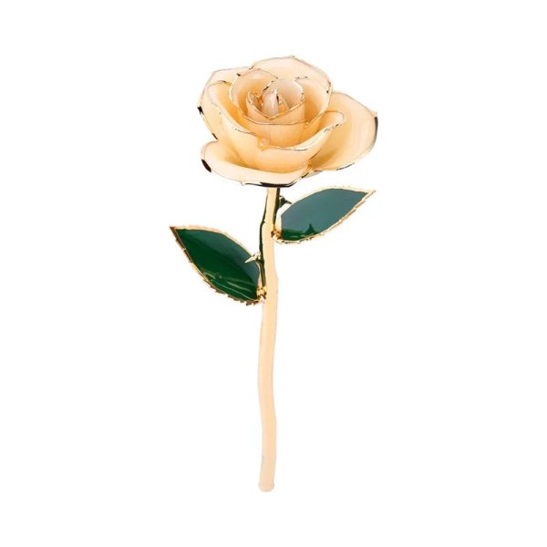 Long Stem 24K Gold Dipped Rose Handmade Forever Gift