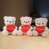 Love Bear Plush – 28cm Soft Stuffed Animal for Kids and Gift