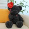 Love Confession Bear Plush – 37cm Soft Cuddly Gift for Valentine