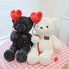 Love Confession Bear Plush – 37cm Soft Cuddly Gift for Valentine