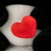 Love Panda Heart Plush Doll
