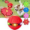 Magic Flying Ball for Dogs