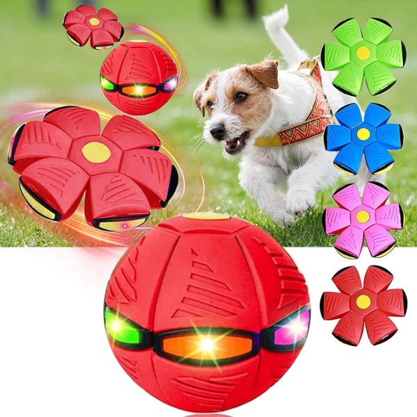 Magic Flying Ball for Dogs