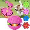 Magic Flying Ball for Dogs
