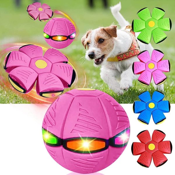 Magic Flying Ball for Dogs