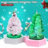 Magic Growing Christmas Tree
