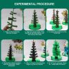 Magic Growing Christmas Tree
