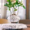Magnetic Levitation Floating Pot