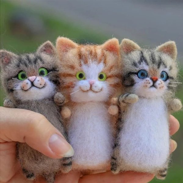 Make-Your-Own Kitty Kit