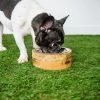 Mango Wood Dog Feeder