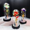Milky Way Glass Dome Rose – Romantic Gift for Her