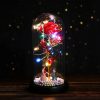 Milky Way Glass Dome Rose – Romantic Gift for Her