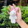 Mini Blush Teddy Plush Keychain Doll