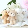 Mini Blush Teddy Plush Keychain Doll