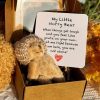 Mini Plush Teddy Bear Gift Box with Inspirational Card