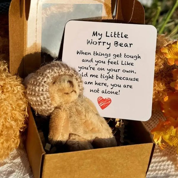 Mini Plush Teddy Bear Gift Box with Inspirational Card
