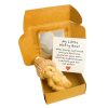 Mini Plush Teddy Bear Gift Box with Inspirational Card