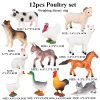 Montessori Miniature Lion Shark Horse Dinosaur Animals Model Set Action Figures