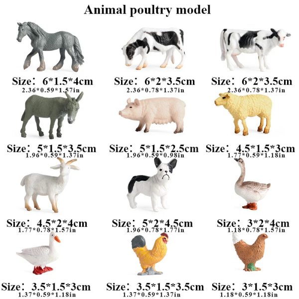 Montessori Miniature Lion Shark Horse Dinosaur Animals Model Set Action Figures
