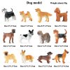 Montessori Miniature Lion Shark Horse Dinosaur Animals Model Set Action Figures
