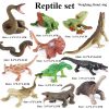Montessori Miniature Lion Shark Horse Dinosaur Animals Model Set Action Figures