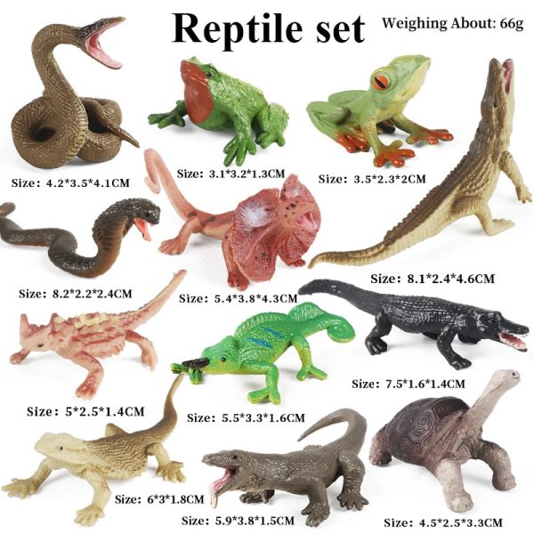 Montessori Miniature Lion Shark Horse Dinosaur Animals Model Set Action Figures
