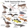 Montessori Miniature Lion Shark Horse Dinosaur Animals Model Set Action Figures