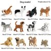 Montessori Miniature Lion Shark Horse Dinosaur Animals Model Set Action Figures