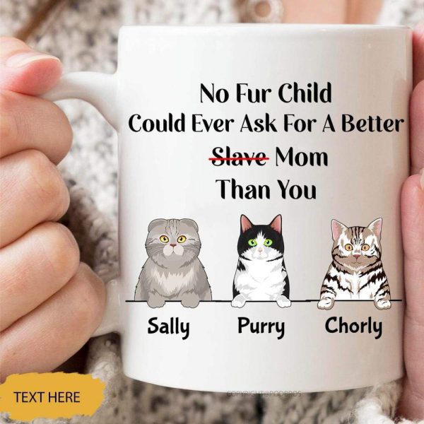 No Fur Child Could Ever Ask For A Better Mom Than You Cat Coffee Mug