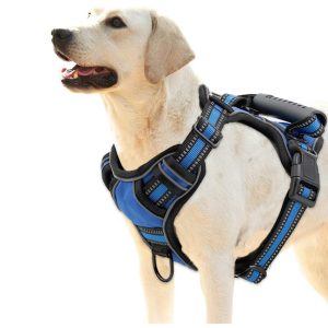 No-Pull Dog Harness With Handle