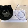 Non-Slip Double Cat Bowl
