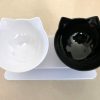 Non-Slip Double Cat Bowl