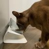 Non-Slip Double Cat Bowl