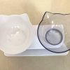 Non-Slip Double Cat Bowl