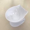 Non-Slip Double Cat Bowl