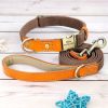 Nylon ID Dog Collar with Leash